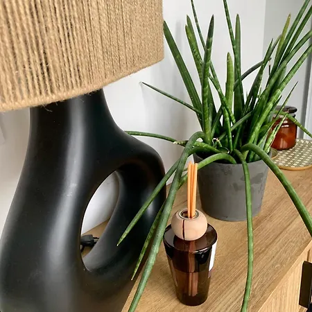 公寓 Proche De Hossegor Et Des Plages