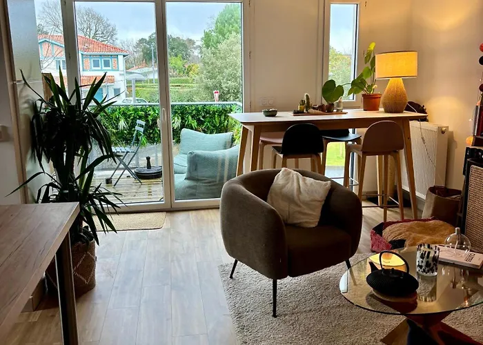 Appartement Proche De Hossegor Et Des Plages Seignosse